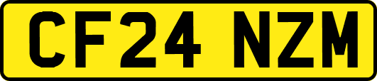 CF24NZM