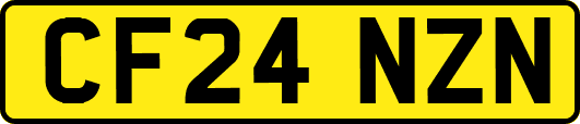 CF24NZN