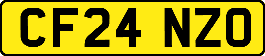CF24NZO