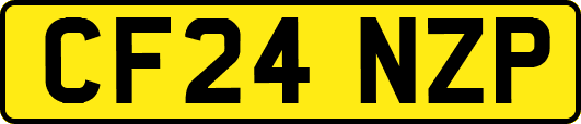 CF24NZP
