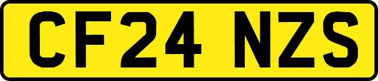 CF24NZS