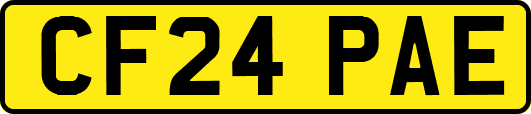 CF24PAE