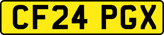 CF24PGX