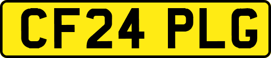 CF24PLG