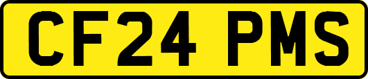 CF24PMS