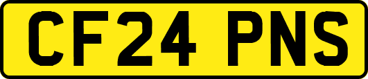 CF24PNS