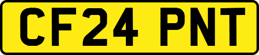 CF24PNT