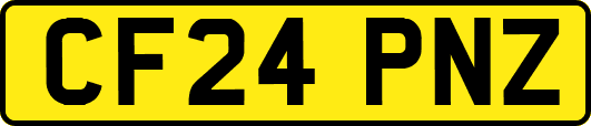 CF24PNZ