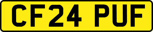 CF24PUF