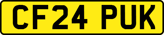 CF24PUK
