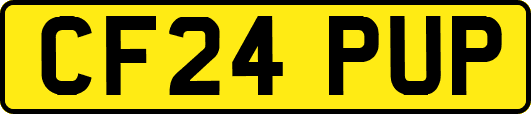 CF24PUP
