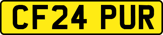 CF24PUR