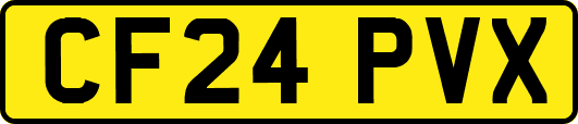 CF24PVX