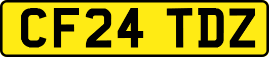 CF24TDZ