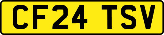 CF24TSV
