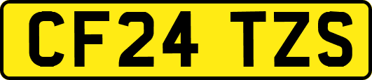 CF24TZS