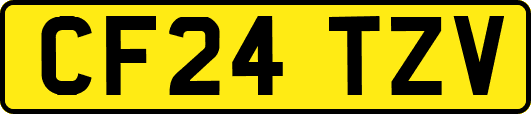 CF24TZV