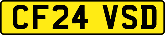 CF24VSD