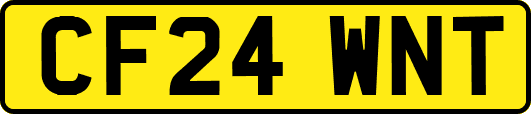 CF24WNT