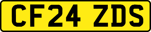 CF24ZDS
