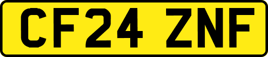 CF24ZNF