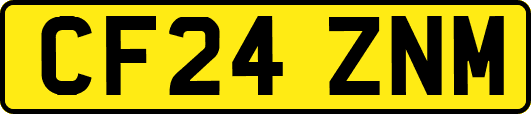 CF24ZNM