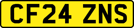 CF24ZNS