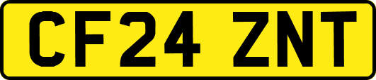 CF24ZNT