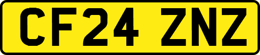 CF24ZNZ