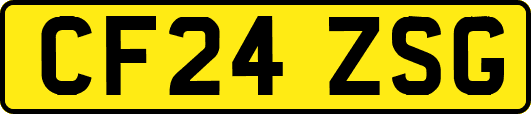 CF24ZSG