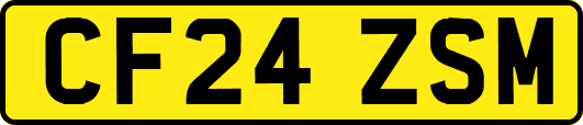 CF24ZSM
