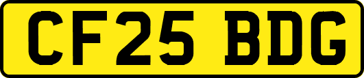 CF25BDG
