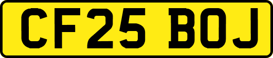 CF25BOJ