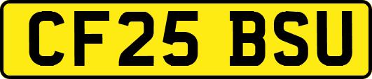 CF25BSU