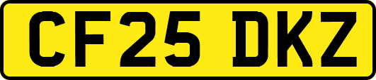 CF25DKZ