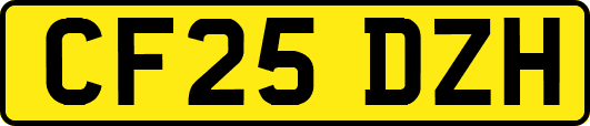 CF25DZH