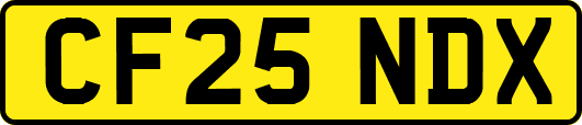 CF25NDX