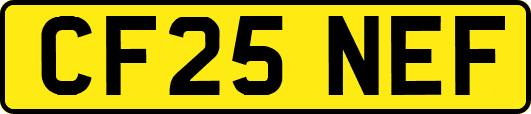 CF25NEF