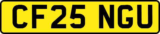 CF25NGU