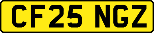 CF25NGZ