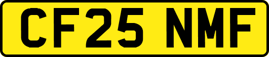CF25NMF