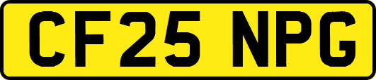 CF25NPG