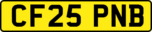 CF25PNB