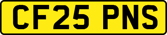 CF25PNS