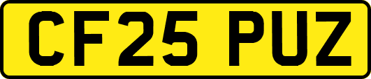 CF25PUZ