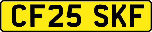 CF25SKF