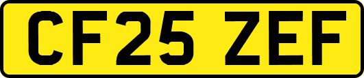 CF25ZEF