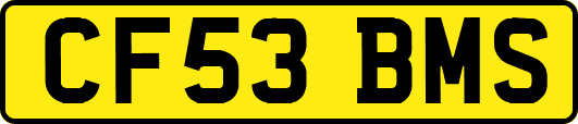 CF53BMS