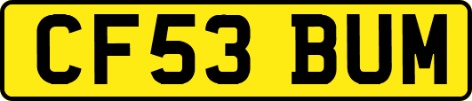 CF53BUM