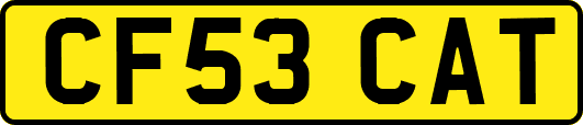 CF53CAT